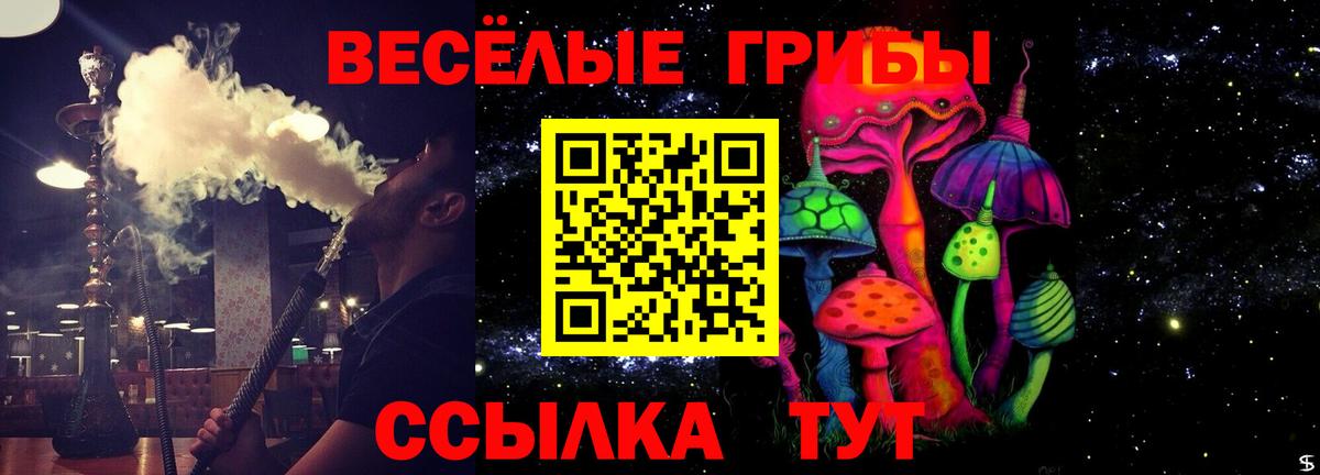 Галлюциногенные грибы Psilocybine cubensis Сатка